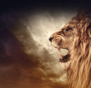 Majestic lion roaring against a dramatic sky with glowing clouds, symbolizing strength, authority, courage, and the biblical imagery of the Lion of Judah